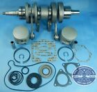 2201842 00-05 75-7099 40-7098 2201553 Polaris Snow X 800 Big Block Fully Rebuilt Crankshaft Wide Bearing Full Welded