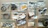 050764 050622 121194 050474 060363 912768 916800 Kawasaki Nos Gear Spacer Nuts Bolts Hinges Clips Retaining Rings
