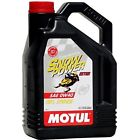101231 Motul Snow Power 4t