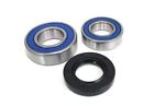 14-1034b Boss Bearing Chain Case Seal Kit Drive Shaft 723980412860