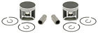 09-141c  2 Spi Piston Kits