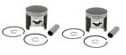 09-681d  2 Spi Piston Kits Arctic Cat Pantera Efi Standard 642141102030