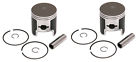 09-696g  2 Spi Piston Kits Arctic Cat Jag Standard Bore 642141103839