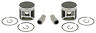 Sm-09141h  2 Spi Piston Kits Arctic Cat Crossfire Efi Standard 642141102696