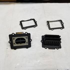 V3130-794a-02 2001 Polaris Edge X 600 2001-2007 Xcsp Classic Rmk 500 V Force 3 Reeds V3130-794a-02 2001 Polaris Edge X 600 2001-2007 Xcsp Classic Rmk 500 V Force 3 Reeds