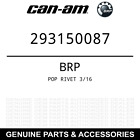 293150087 Brp Oem Pop Rivet