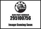 295100756 Ski Module New Oem