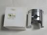3000-234 Arctic Cat Piston Oem Nos