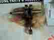 3000-877 Arctic Cat Vintage Crankshaft 292