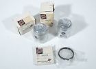3002-074 3002-070 Arctic Cat Pistons