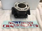 3003-830 Arctic Cat New Oem Cylinder Prowler Special