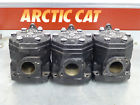 3004-525p Arctic Cat Zrt Pantera