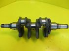 3007-781 Arctic Cat F 1100 3007-781 Arctic Cat F 1100