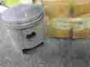 3081069 Polaris New Piston