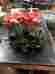 3085041 Polaris Engine For A 96 Xcr 440 Runs Good Part Number