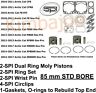 311sm-09259 Spi Arctic Cat Sno Pro Pistons Gaskets