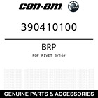 390410100 Brp Oem Pop Rivet