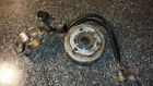 410922931 Mxz Mxzx Oem Stator Generator Alternator Magneto