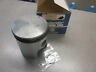 9841 420 55 Ski Doo Nos Oem Std Piston With Rings Elan Single