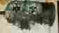 420887515 1995 Ski Doo Mach 1 670 Engine Crankcase