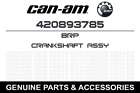 420893785 Brp 2017 Ski-doo Renegade