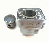 420923195 Rotax Formula Ss Std Bore Engine Cylinder Jug Piston
