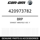 420973782 Brp Expedition Exhaust Manifold Assy