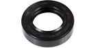 501909 Winderosa Crankshaft Seal Mag