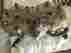 613700 Ski-doo 2003 Mxz 600 Ho Cylinder Head