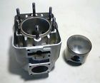 6913070 Skidoo Formula Mach Engine Cylinder Piston Bore Corrosion