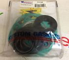 711134 Winderosa Custom Gasket Kit