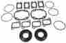711210 Winderosa Ski-doo Touring Le 380 1995 1996 1997 1998 1999 2000 Gasket Set Crank Seals