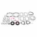 711264 Winderosa Professional Gasket Set With Oil Seals Polaris Pro X 440 01-04