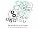 711285 Winderosa Gaskets Professional Series Full Engine Ski-doo Kit