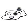 721275 Vertexwinderosa Vertex Winderosa Water Pump Repair Kit Fits 714205007824