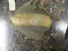 810-81312-20 Yamaha Snowmobile Sourcing Coil Nos Oem Part