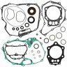 811896 Winderosa Honda Gasket Set With Oil Seals Complete Seal Kit