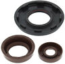 822353 Winderosa Polaris Engine Oil Seal Kit For Sportsman Efi