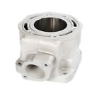 3005-212 88b5 Nikachrome Nika Chrome Replated Cylinder Arctic Cat Mountain Zr More