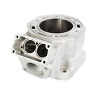 3005-653 88ba Nikachrome Nika Chrome Replated Cylinder Arctic Cat Mountain More