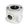 3004-525 91b1 Nikachrome Replated Motor Cylinder Arctic Cat Pantera Zrt 779423217790
