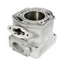 420923112 923112 Nika Chrome Replated Motor Cylinder Formula Iii 779423218117