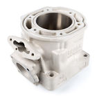 420923480 923480 Nikachrome Nika Chrome Replated Motor Cylinder Mach 779423218087
