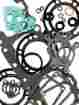 Mts1205-684-spi-a 98-99 710205 Winderosa Top End Gasket Set Snowmobile Polaris Indy Xlt Classic Tour