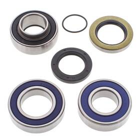 14-1043 All Balls Chain Case Bearing And Seal Kit #14-1043 Ski-doo