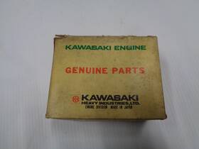3000-198 Arctic Cat Nos 71-72 Coil Cover Vintage Snowmobile Ext Puma Panther