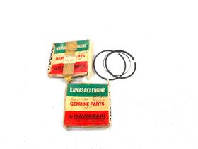 3000-311 Arctic Cat Ext King Kat Piston Rings Puma Vintage Race Sled Kawasaki