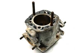 3003-724 Arctic Cat 84 El Tigre 6000 Cylinder 115.92 Inch