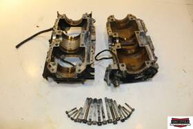 3005-482 Arctic Cat 2000 Powder Special 700 Engine Motor Crank Case Cases