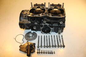 3006-418 Arctic Cat 2003 Mountain 900 Engine Motor Case Cases